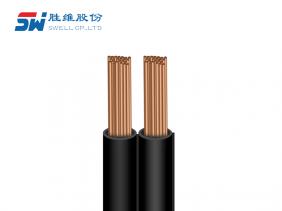 美標(biāo)電源線  SPT-1/SPT-1W